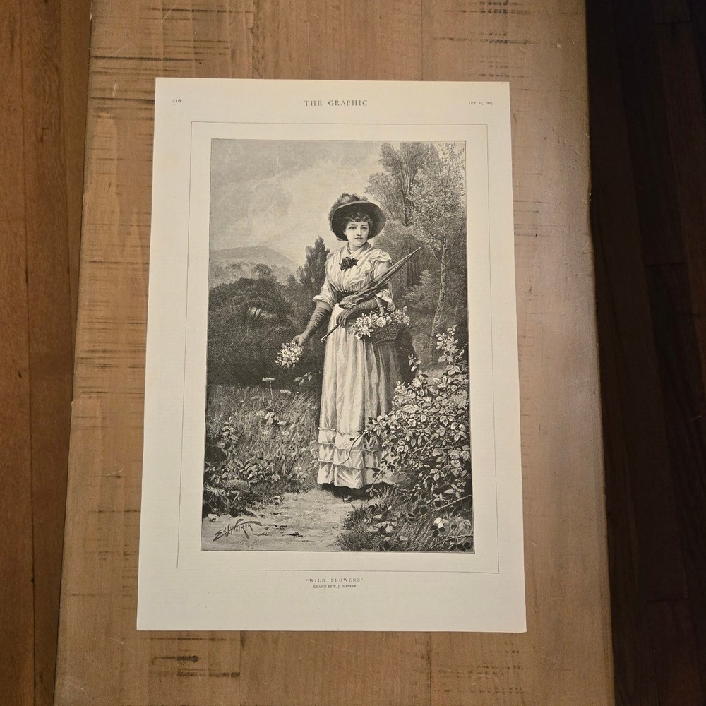The Graphic Wild Flowers Antique Print 1885 Victorian Woman E. J. Walker Black